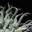 Glass Microbiology Exhibitions & Acquisitions